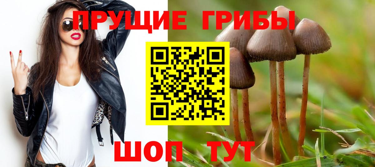 Можайск  Псилоцибиновые грибы MAGIC MUSHROOMS  Вход с VPN 